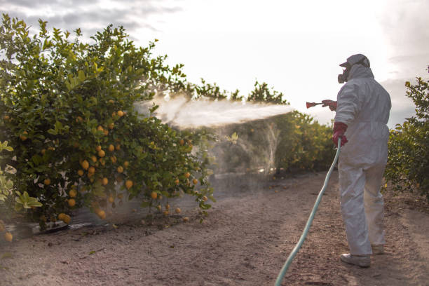 Best Best Pest Control Companies  in Greenfield, MN