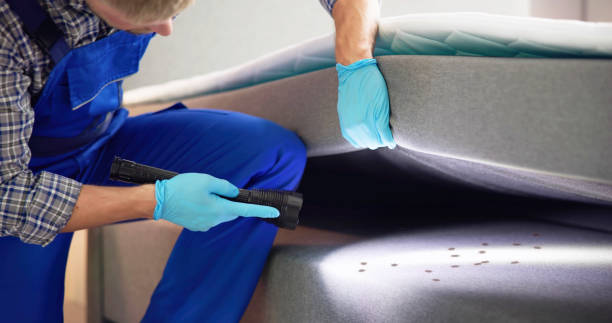Best Pest Control for Restaurants  in Greenfield, MN