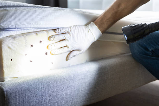 Best Best Pest Control Companies  in Greenfield, MN