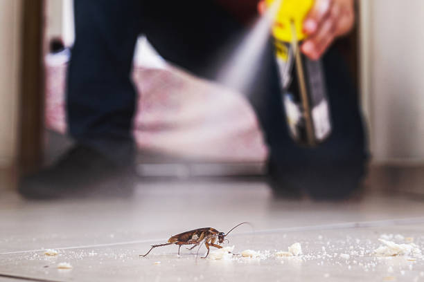Best Exterminator Services  in Greenfield, MN
