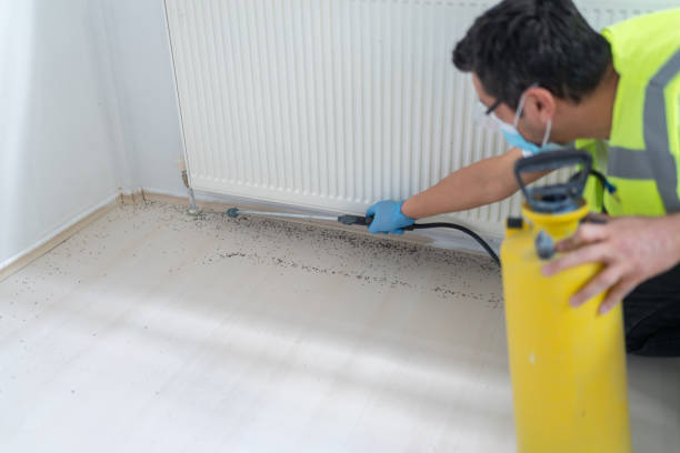 Professional Pest Control in Greenfield, MN